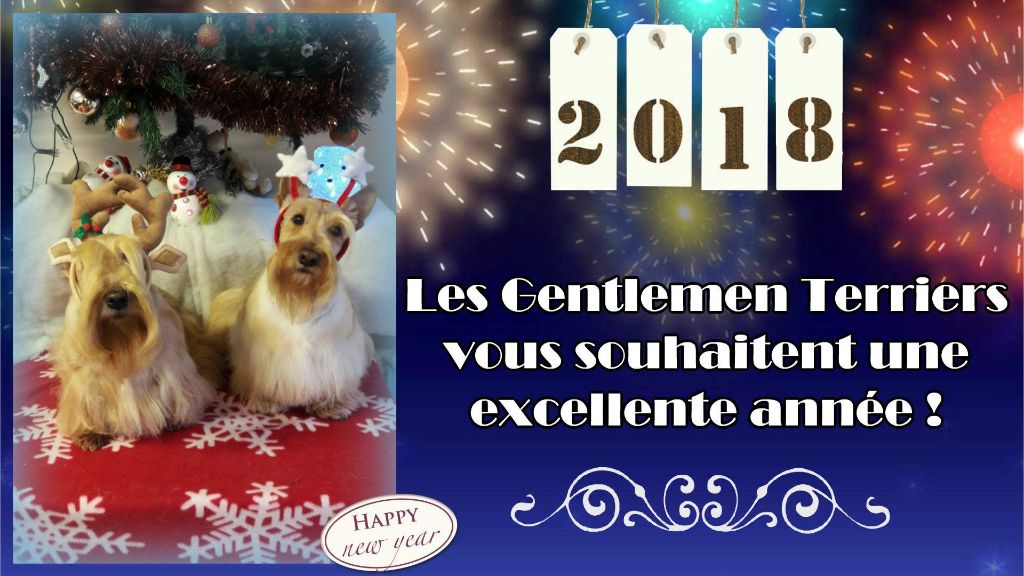 du cercle des gentlemen terriers - Bonne année 2018 !