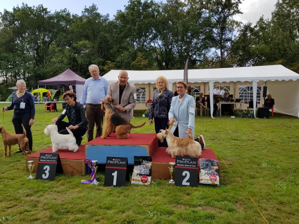 du cercle des gentlemen terriers - 13 septembre 2019 : Brabants Rashonden Festival (Pays-Bas)