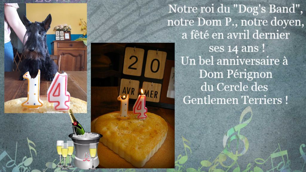 du cercle des gentlemen terriers - Dom Pérignon fête ses 14 ans !