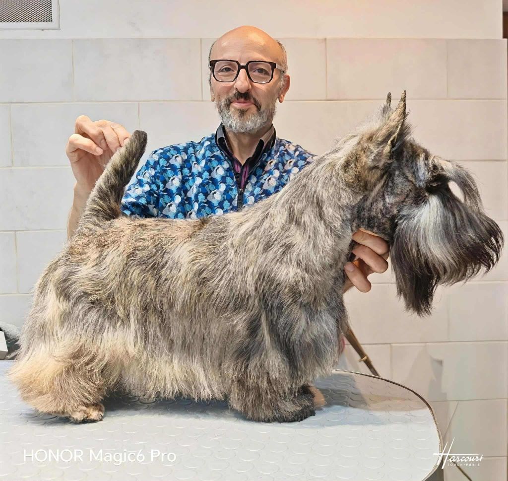 11 octobre 2025 : Vito